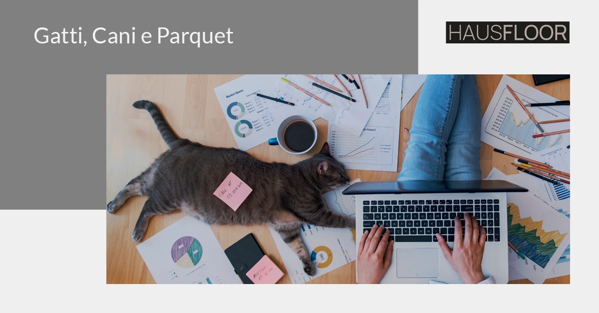 Gatti, Cani e Parquet: è possibile far coesistere le due realtà?